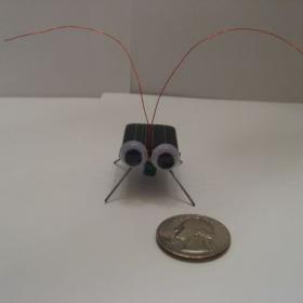 Solar Cockroach Virbobot