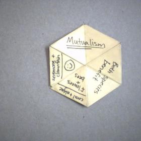How to make a hexaflexagon